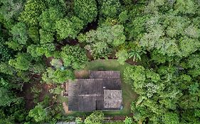 Casa da Floresta Aruá, Praia do Forte, Bahia